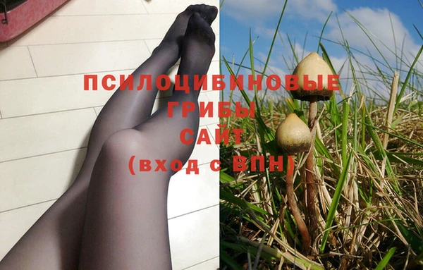 трава Балабаново