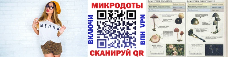 Псилоцибиновые грибы GOLDEN TEACHER  Обоянь 